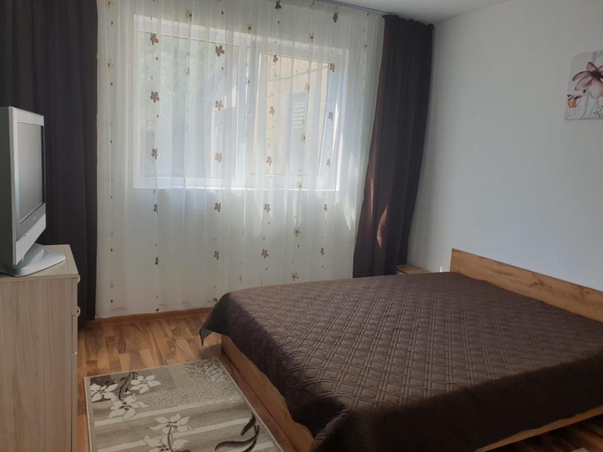Cazare Apartament Cu 2 Camere Nehoiu Zewnętrze zdjęcie
