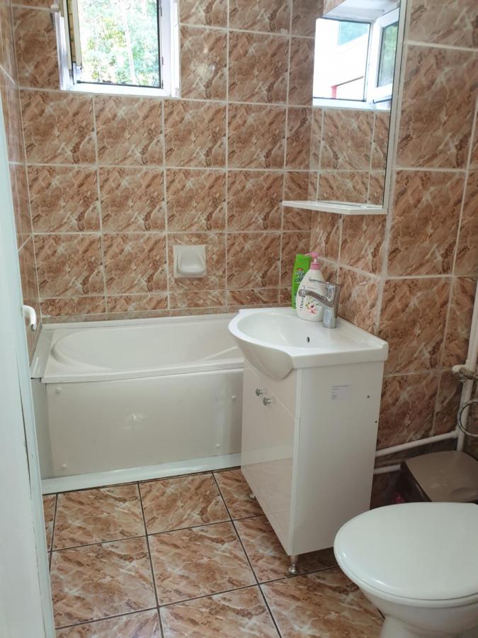 Cazare Apartament Cu 2 Camere Nehoiu Zewnętrze zdjęcie